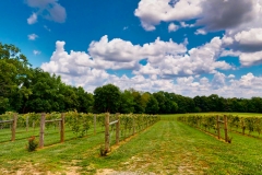 r_a_rustic-barn-07042021_120314_large_